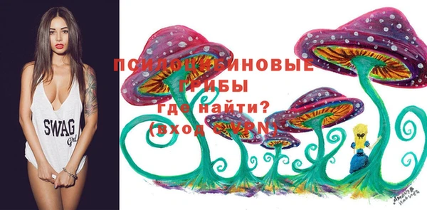 тгк Алексин