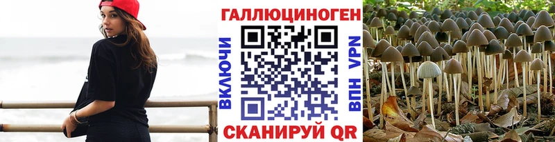 Псилоцибиновые грибы GOLDEN TEACHER  Любим 